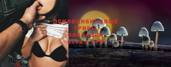прущие крисы Карпинск