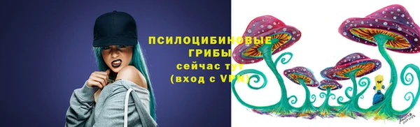 мдпв Каменногорск