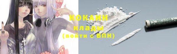 крисы Касимов